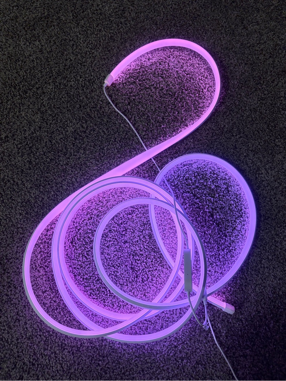 Govee Neon Lights